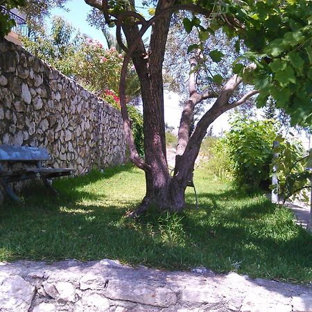 Pansion Laertes Apartment Tsoukaladhes Bagian luar foto