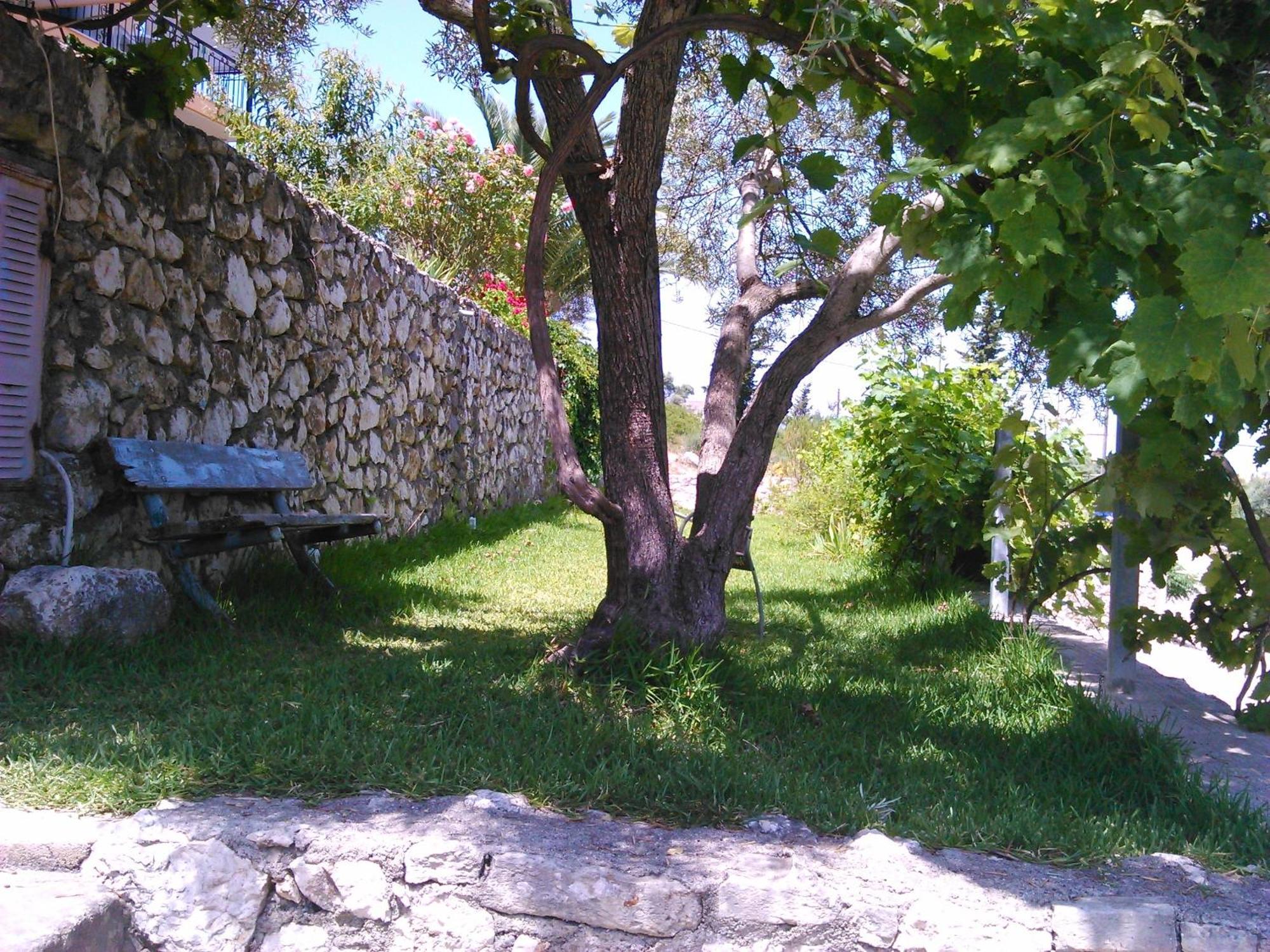 Pansion Laertes Apartment Tsoukaladhes Bagian luar foto